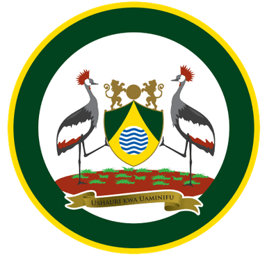 SIMS Logo